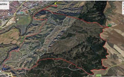 15OCTUBRE2023. P.N.-BARRERA-CASTILLO