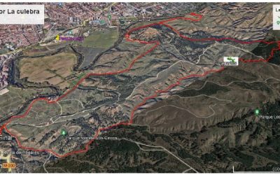 21ABRIL2024. P.N. – CASTILLO